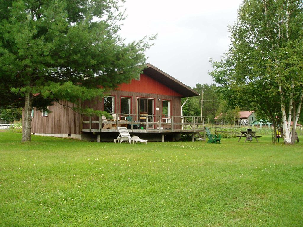 Bondi Village Cottage Resort Lake of Bays Exterior photo