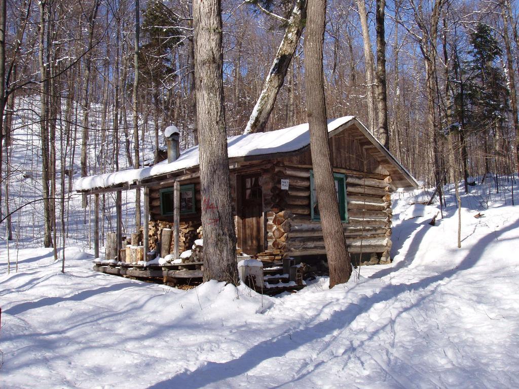 Bondi Village Cottage Resort Lake of Bays Exterior photo
